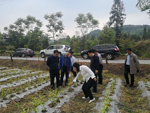 海利集团,长沙杀虫剂,长沙光气衍生物,长沙氨基酸保护剂,长沙锂离子电池材料